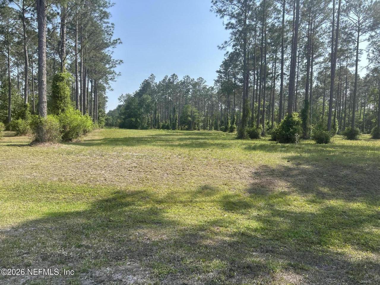 10966 Paddington Way - Photo 1