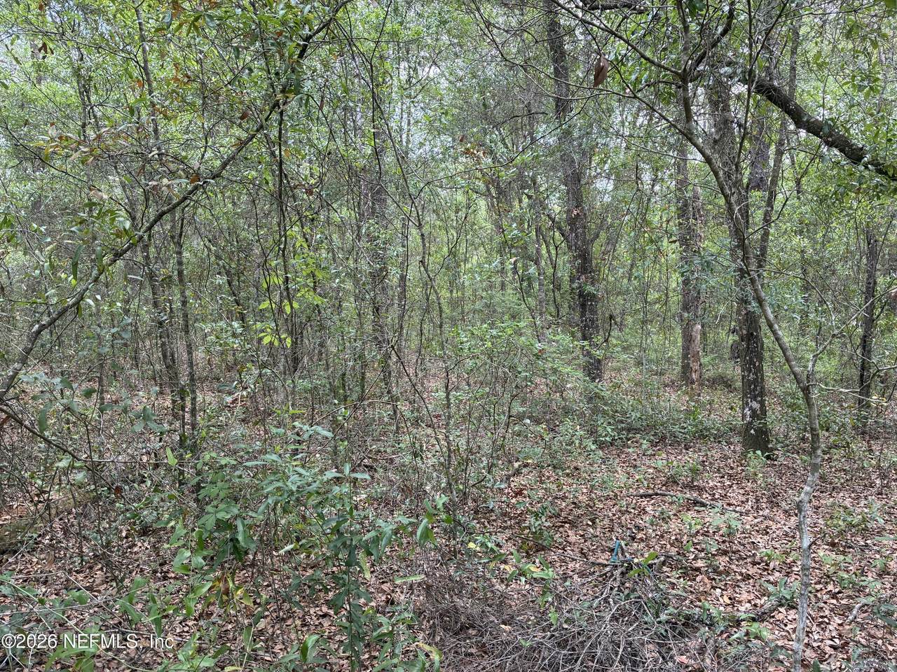 https://bt-photos.global.ssl.fastly.net/nefar/1280_boomver_1_2141302-2.jpg