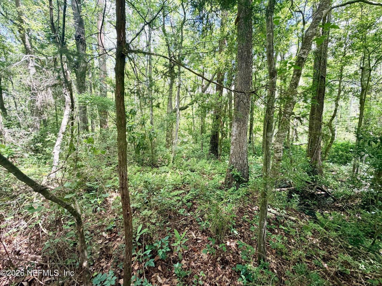 https://bt-photos.global.ssl.fastly.net/nefar/1280_boomver_1_2141832-2.jpg