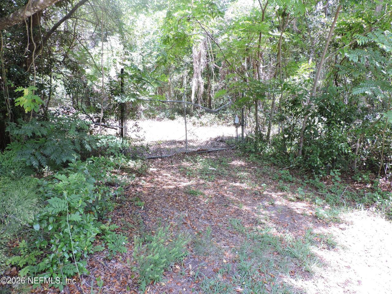 3725 County Road 315A - Photo 1