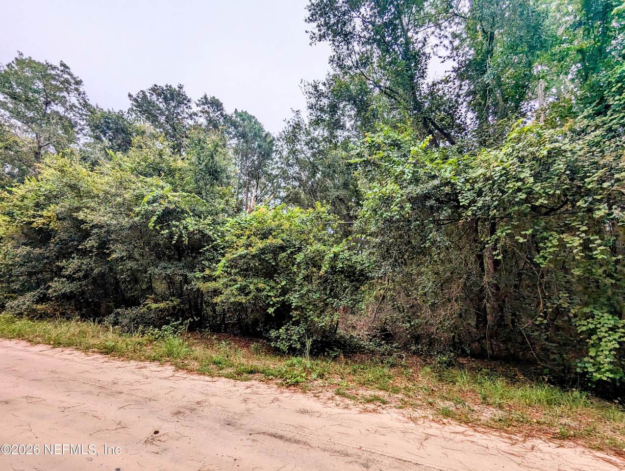 5673 Caribbean Circle - Photo 1