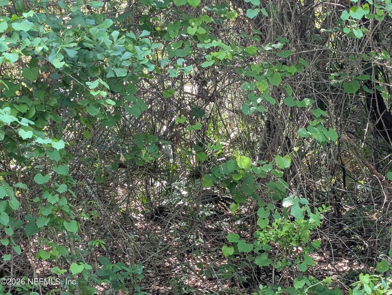 https://bt-photos.global.ssl.fastly.net/nefar/1280_boomver_1_2144079-2.jpg