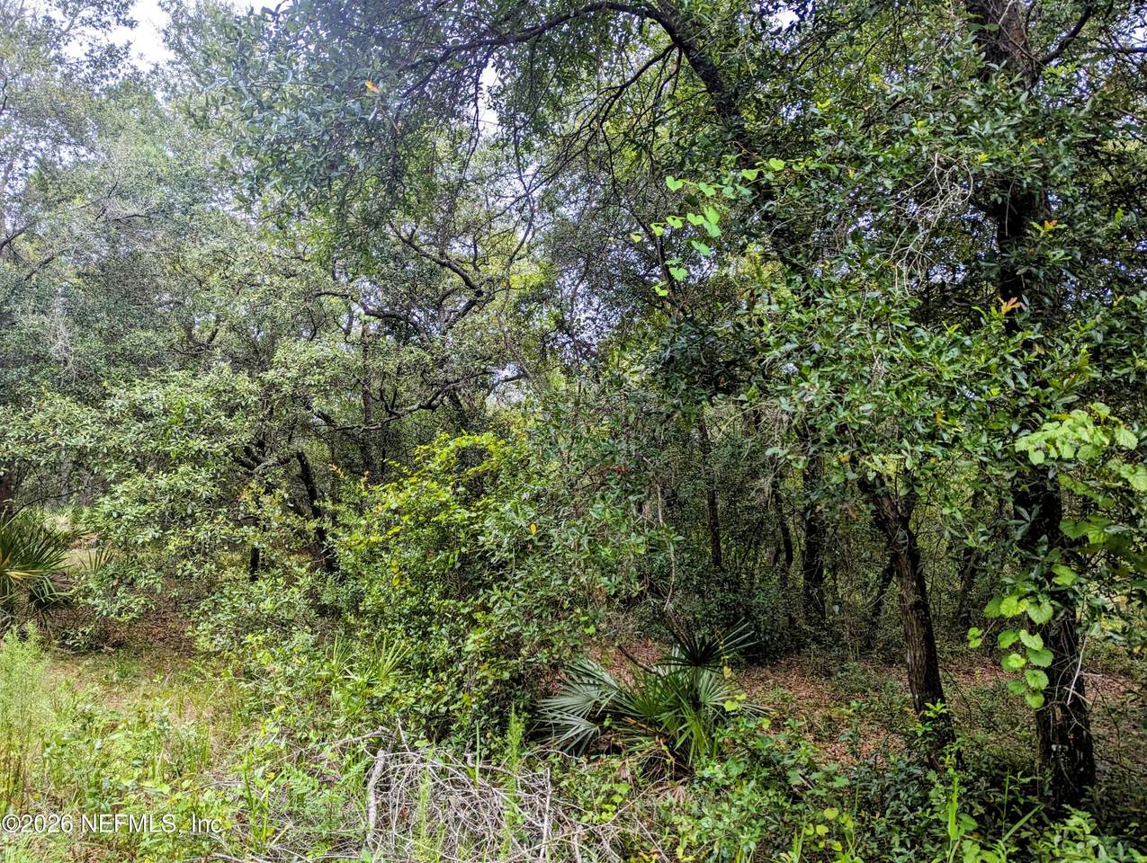 https://bt-photos.global.ssl.fastly.net/nefar/1280_boomver_1_2144083-2.jpg