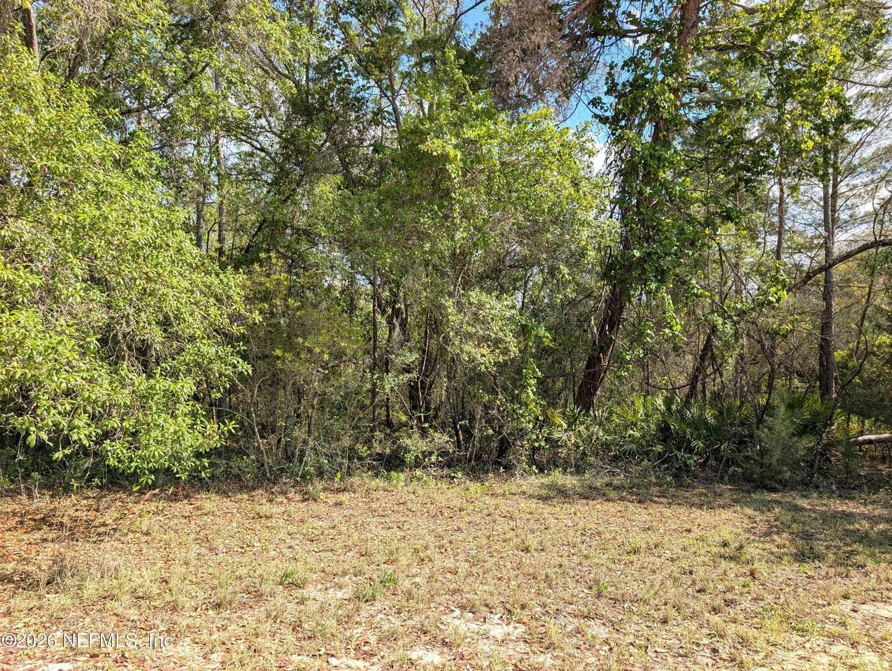5813 Bryce Street - Photo 1