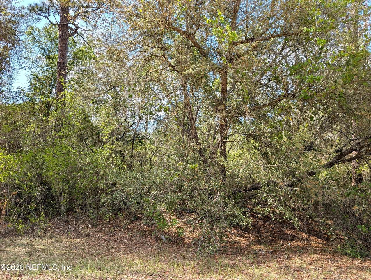 https://bt-photos.global.ssl.fastly.net/nefar/1280_boomver_1_2144120-2.jpg