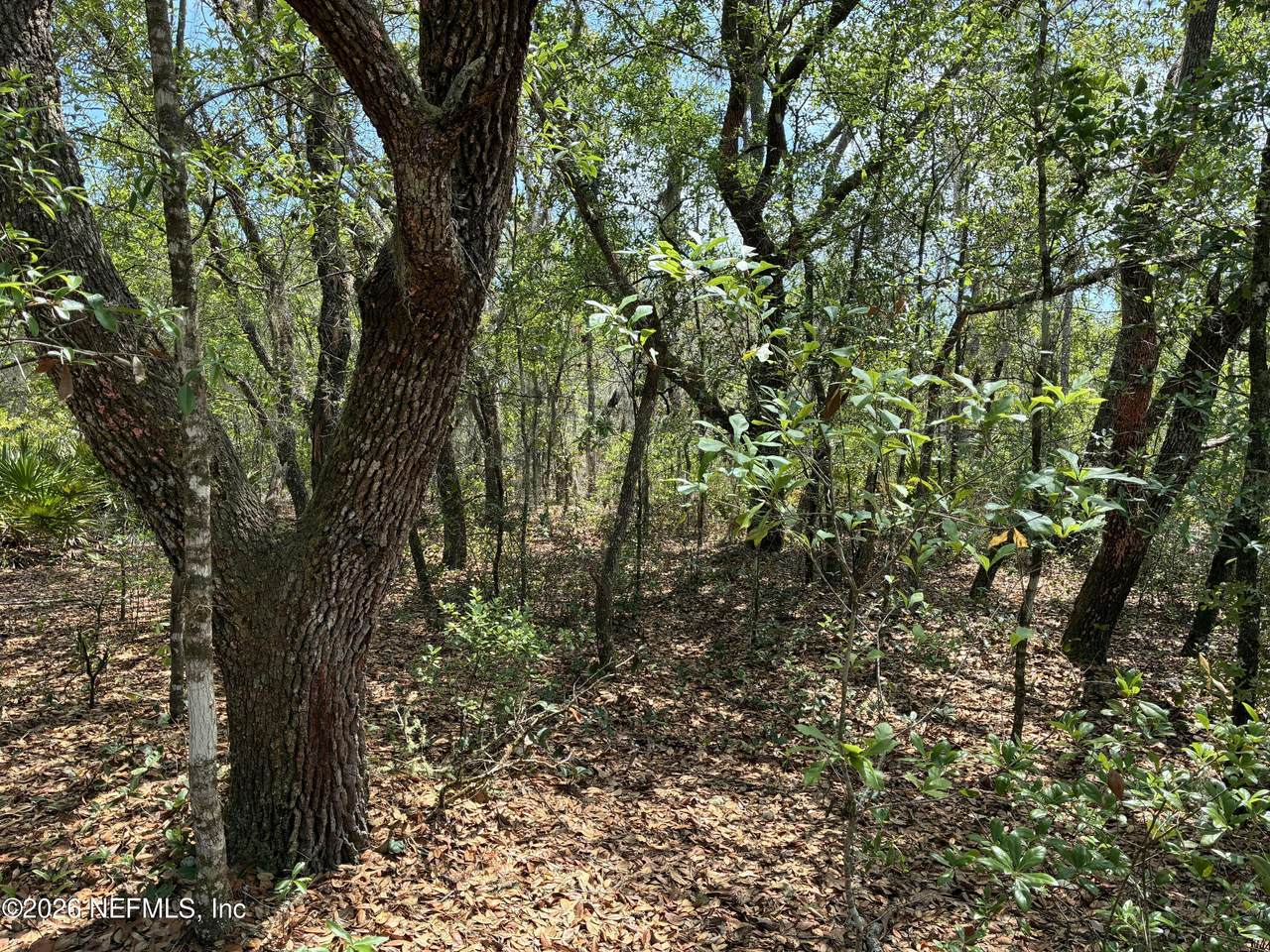 00 Donovan Avenue - Photo 1