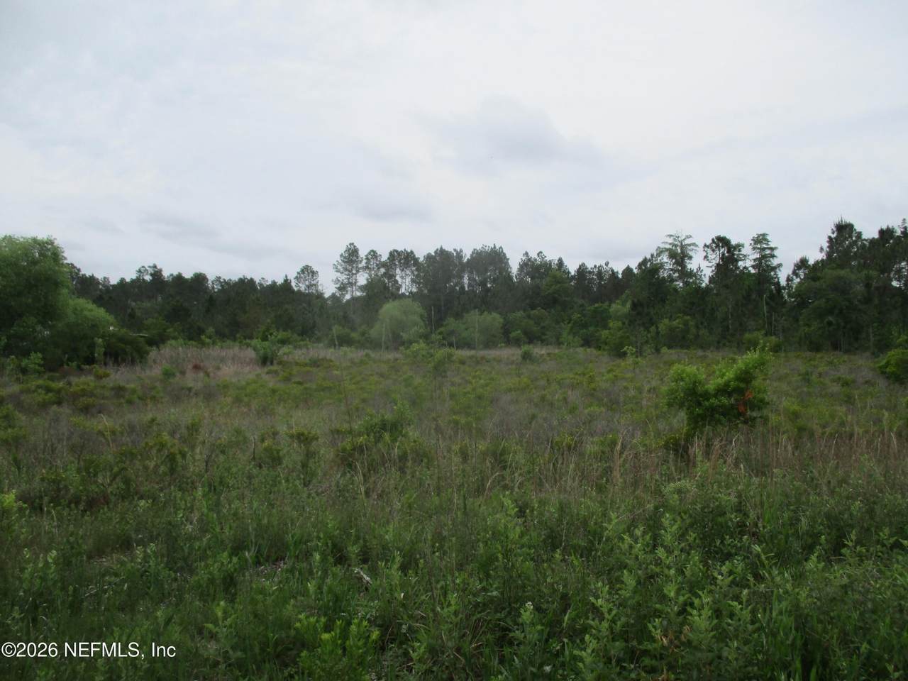 0 Quail Road - Photo 1