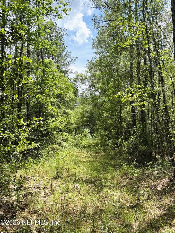 https://bt-photos.global.ssl.fastly.net/nefar/1280_boomver_1_2147155-2.jpg