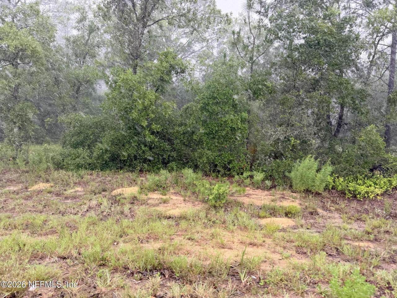 5628 County Road 214 - Photo 1