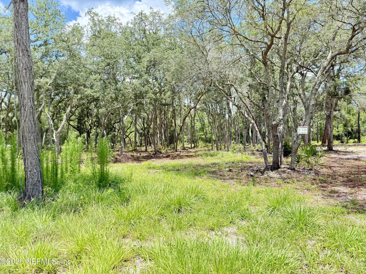 438 Chamberlain Road - Photo 1