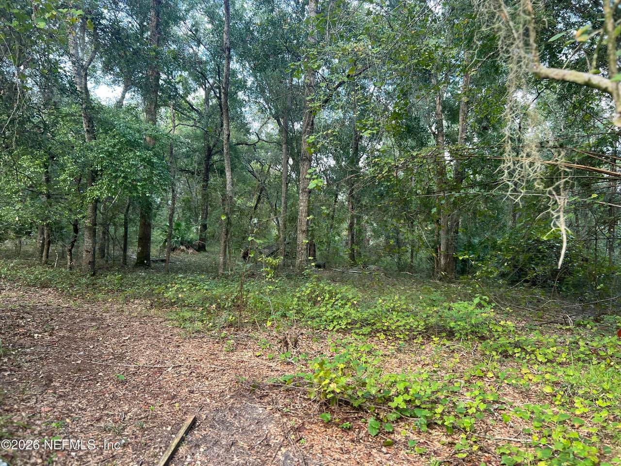 126 Willow Lane - Photo 1