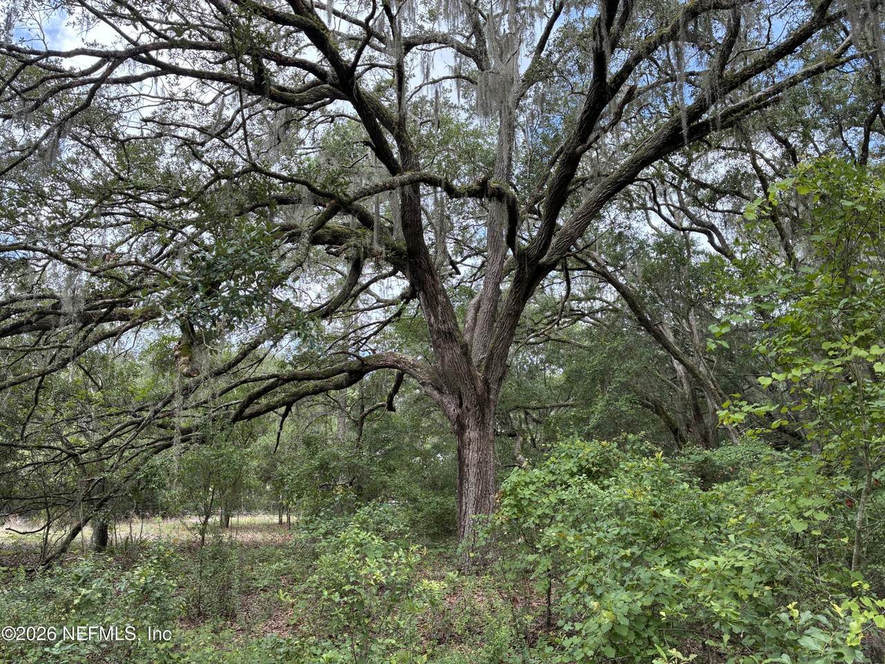 107 Laurel Drive - Photo 1