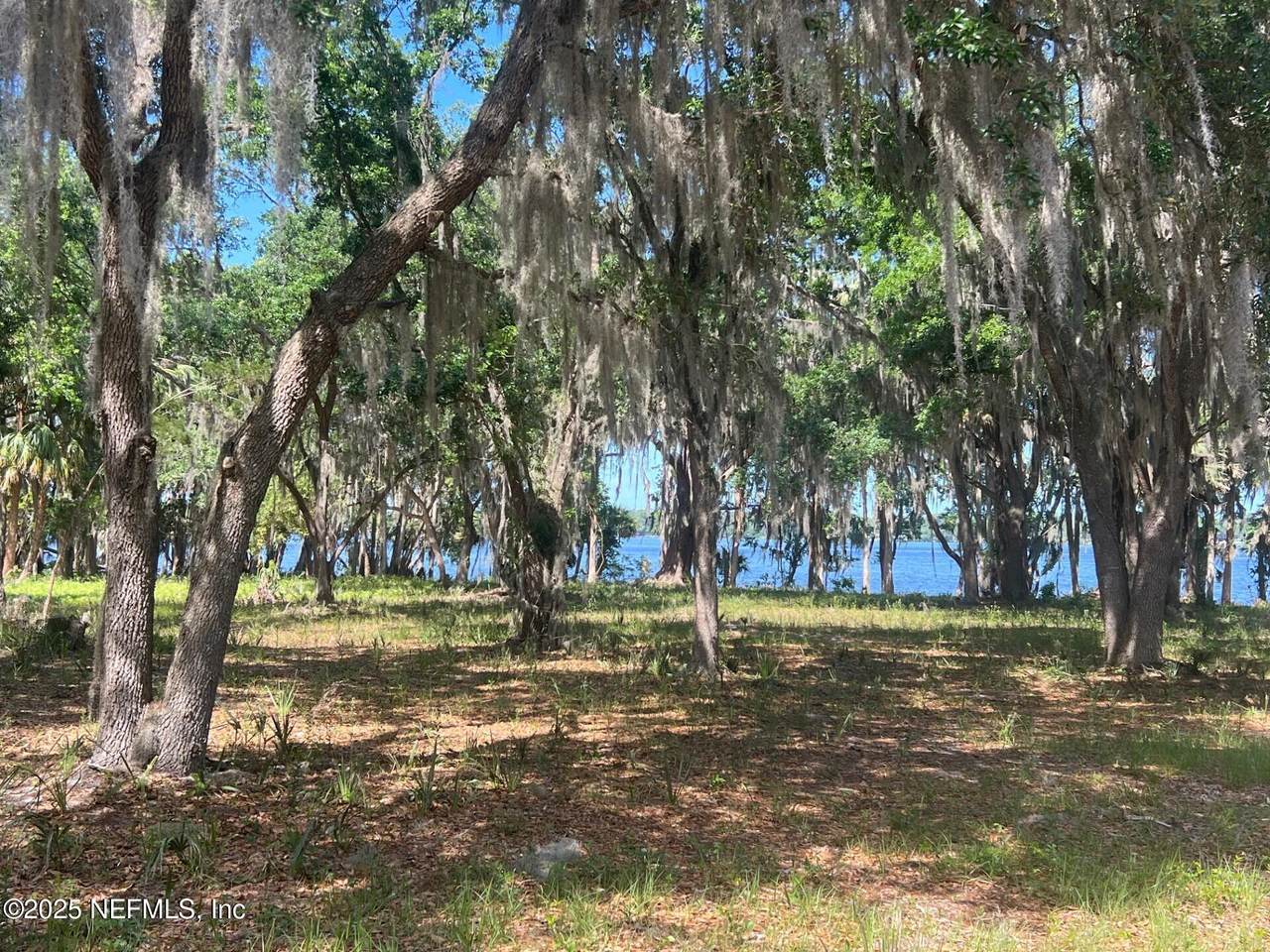 762 National Forest Road 75G Road - Photo 1