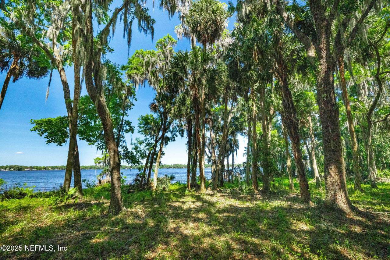 766 National Forest Road 75G Road - Photo 1