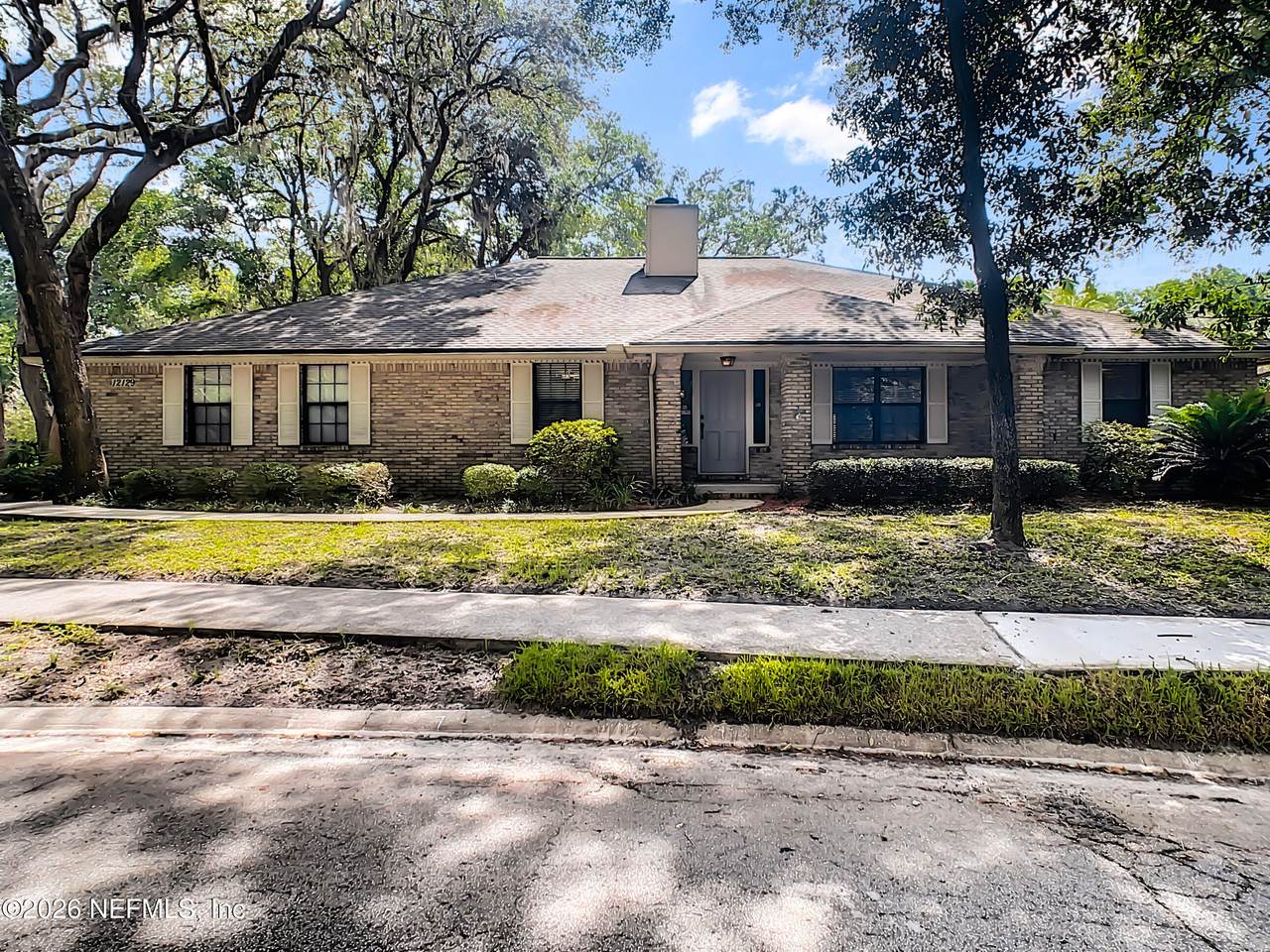 12129 Dividing Oaks Trail - Photo 1