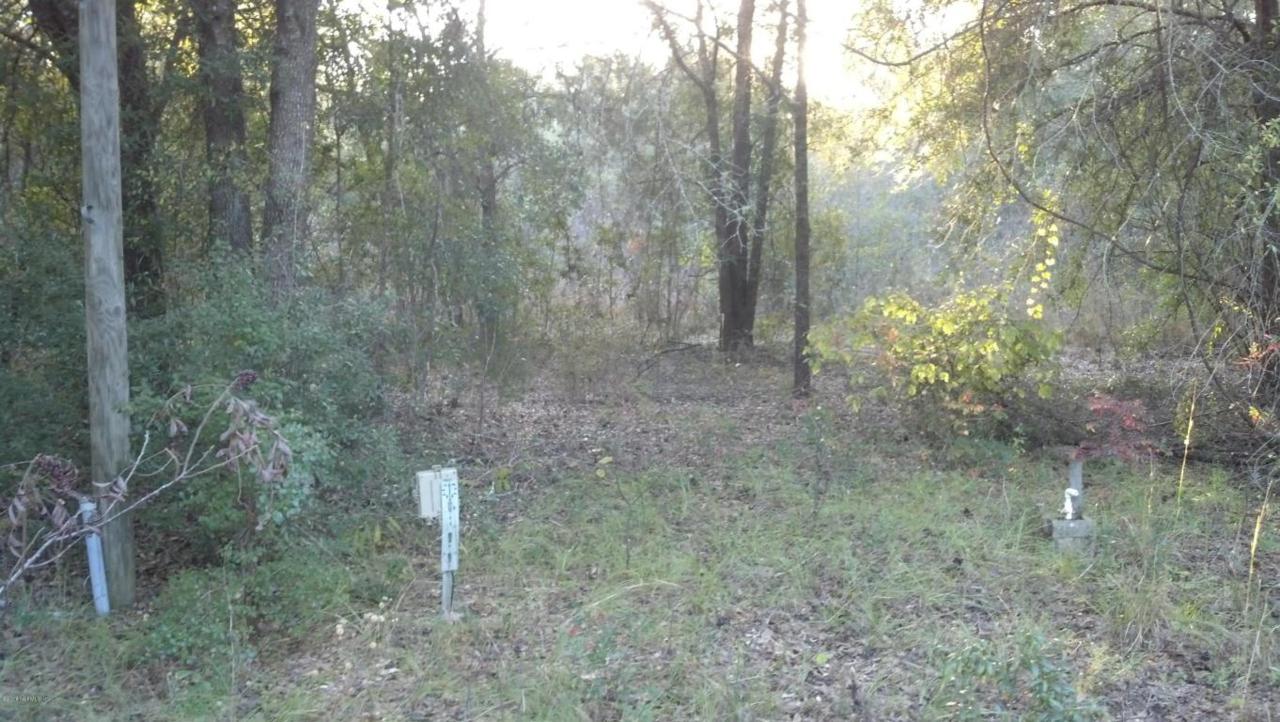 1344 Drew Feagle Rd - Photo 1