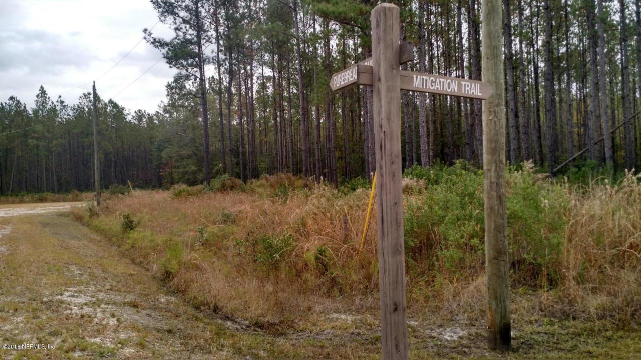 LOT 11 Mitigation Trl - Photo 1