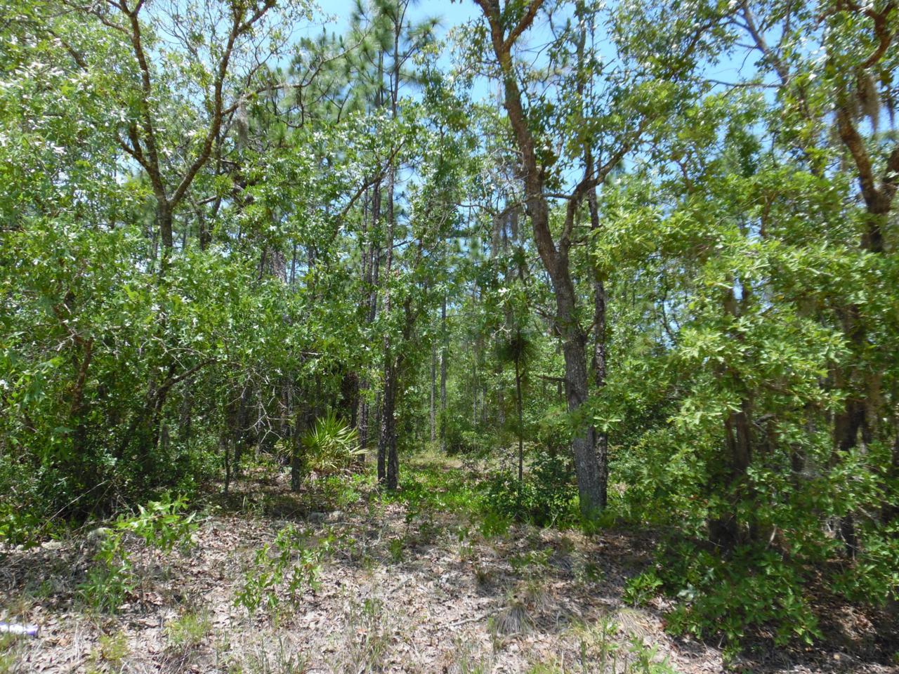 7592 Los Padres Ave - Photo 1