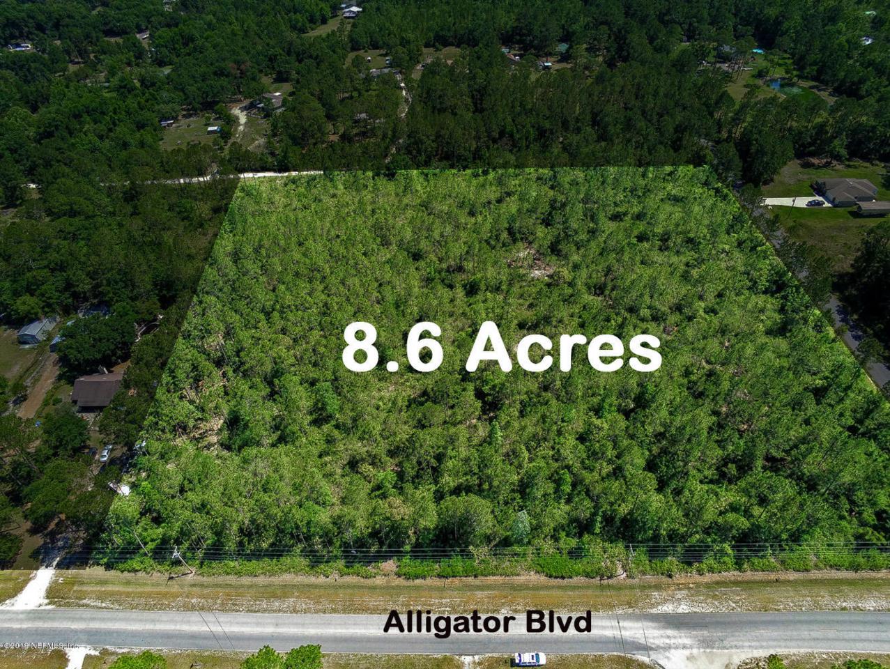 0 Alligator Blvd - Photo 1