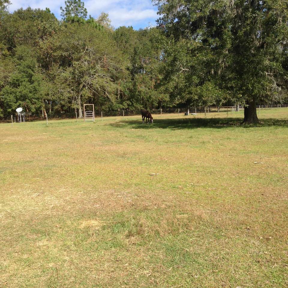1135 Coral Farms Rd - Photo 1
