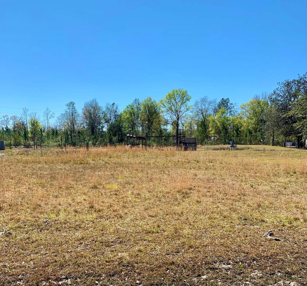 44142 Red Oak Ct - Photo 1