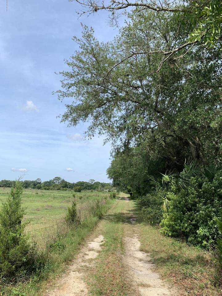 9665 J Flake Rd - Photo 1