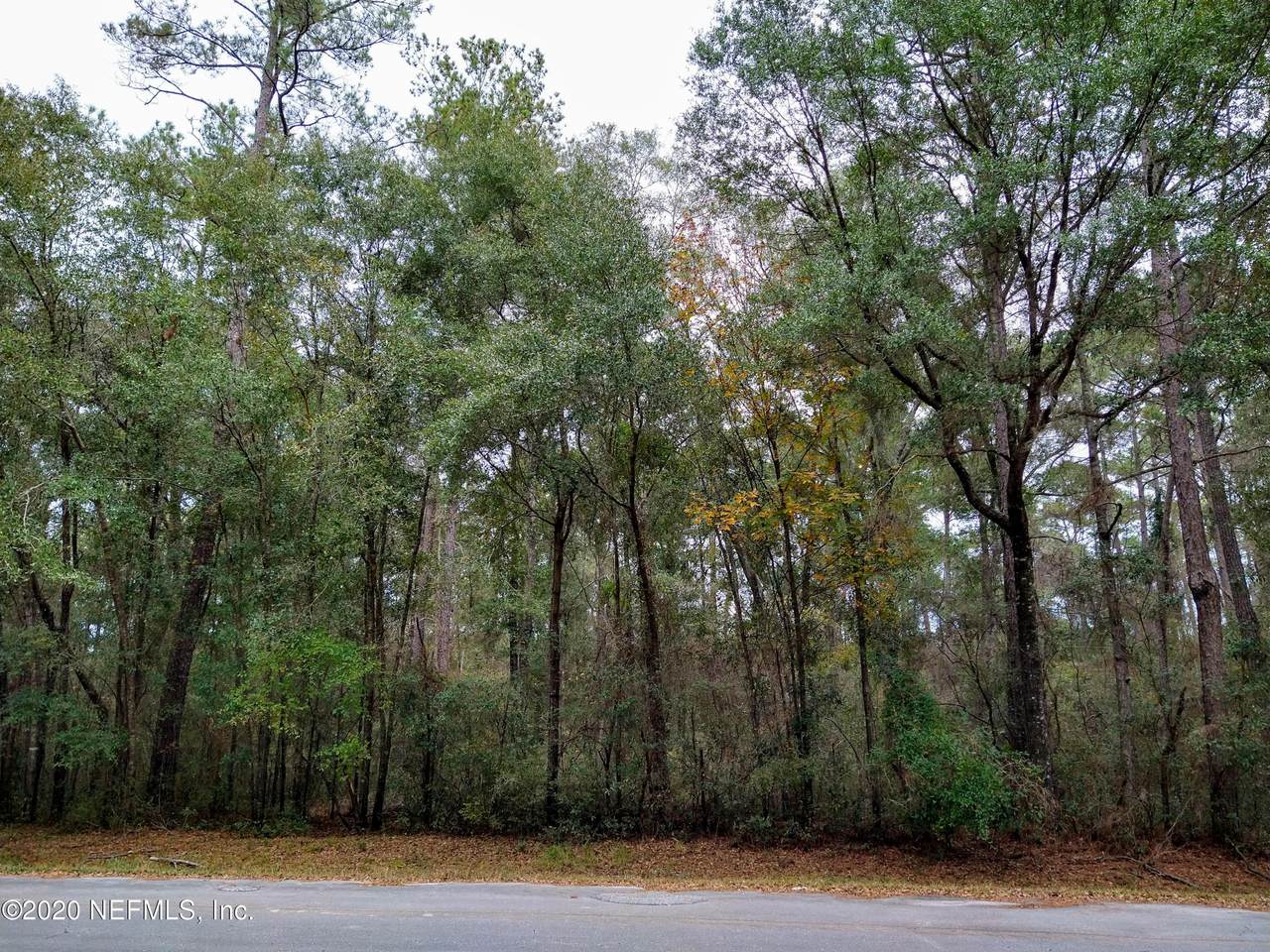 0 205TH Ln - Photo 1