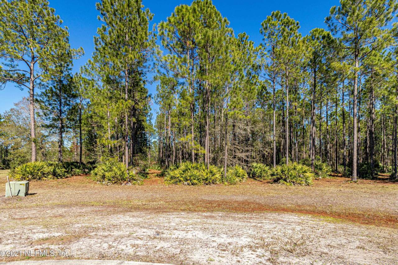 11087 Blazing Ridge Ct - Photo 1