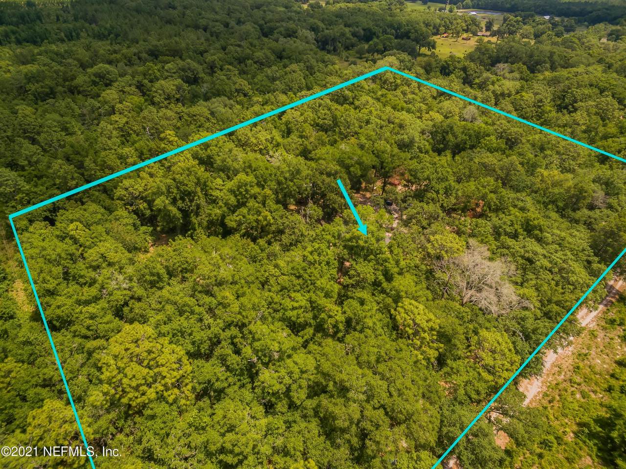 871 Landreth Rd - Photo 1