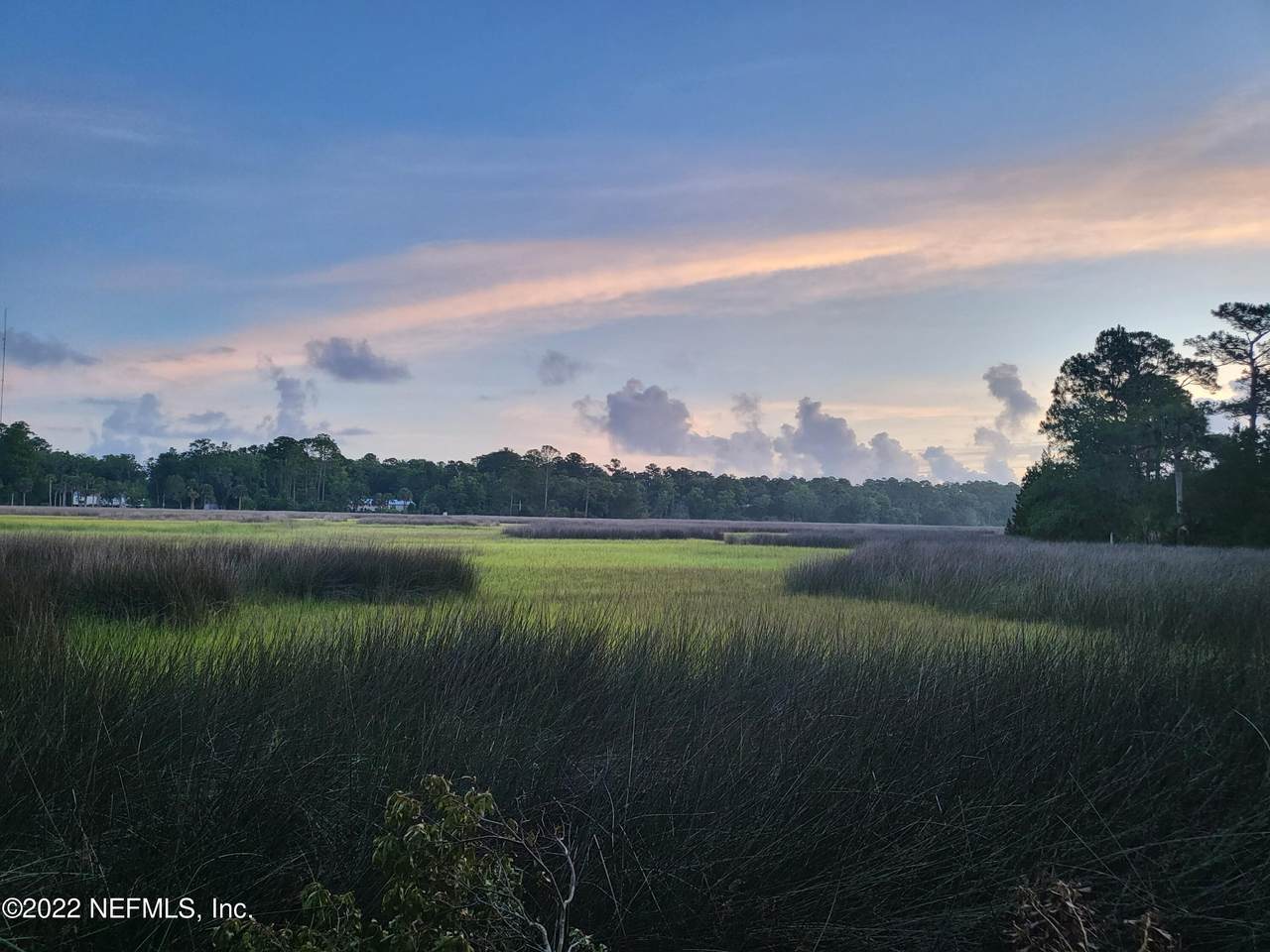 LOT 14 Palm Cir - Photo 1