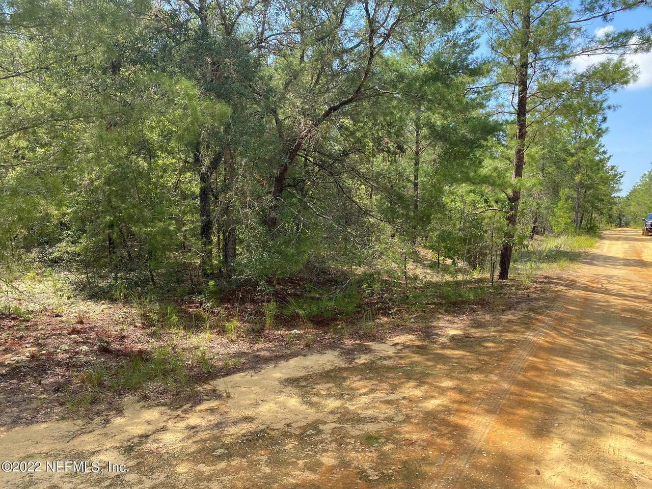 XXX Periwinkle Ct - Photo 1