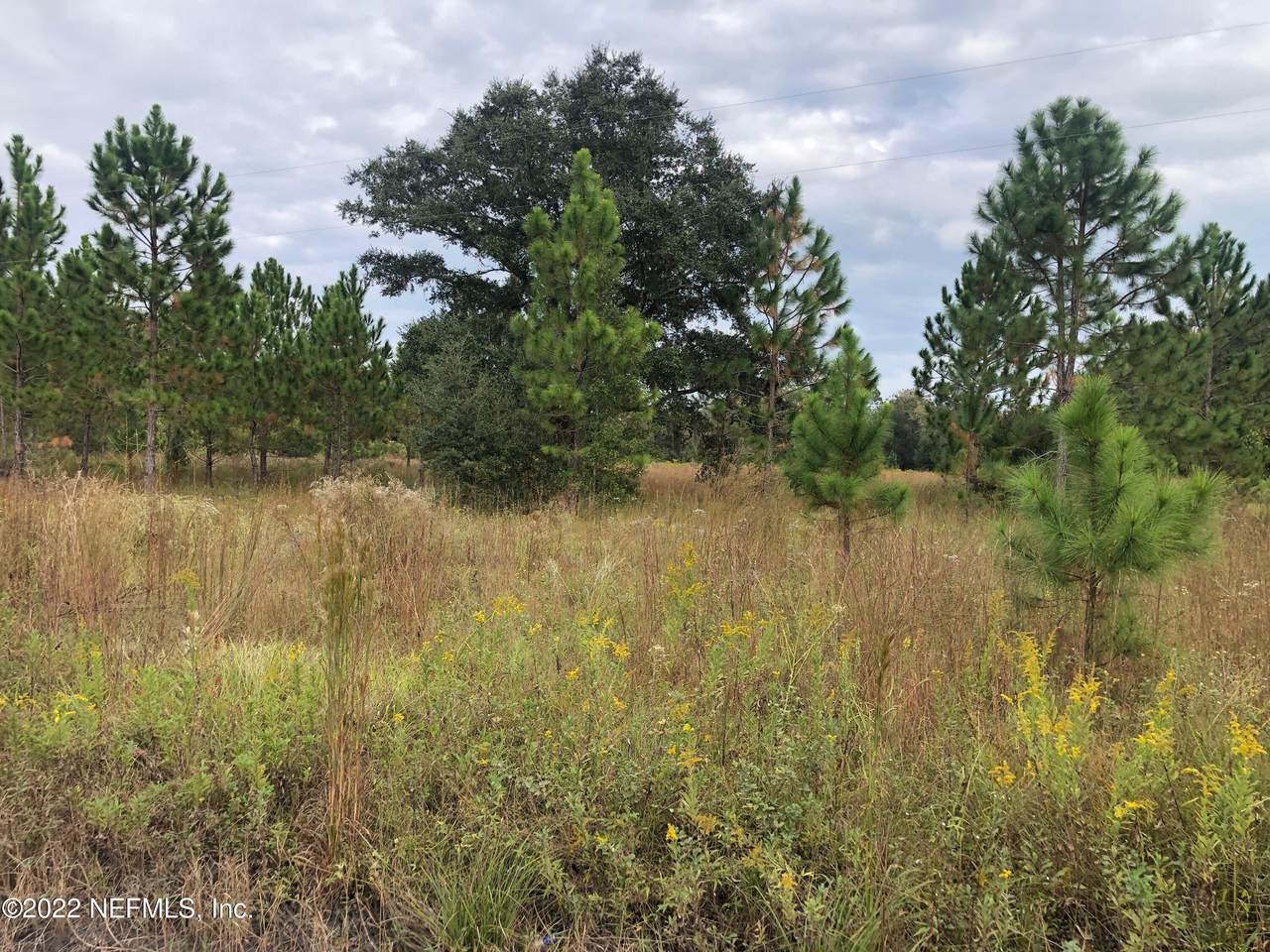 000 Moccasin Creek Cir - Photo 1