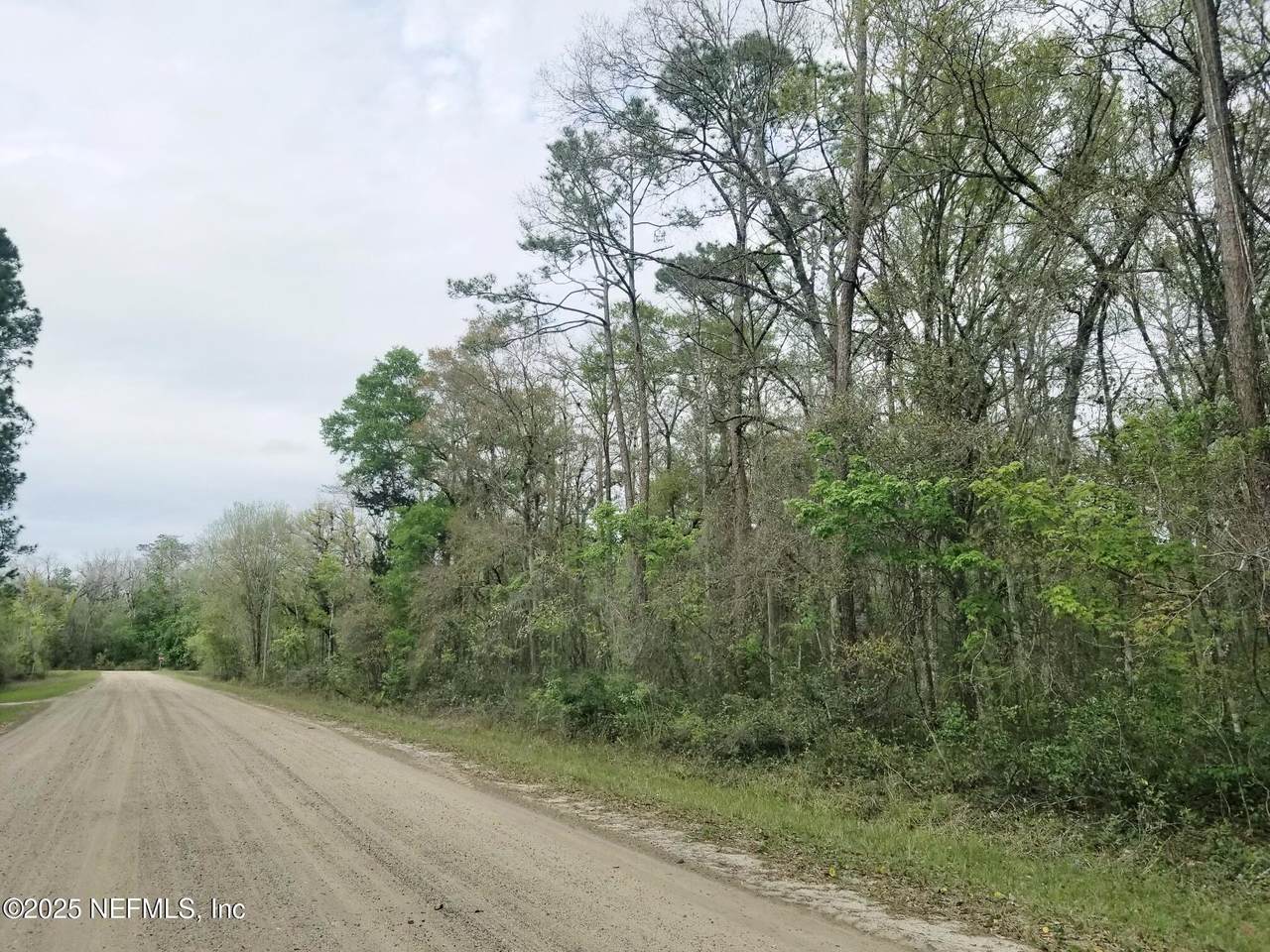 2095 Grove Street - Photo 1