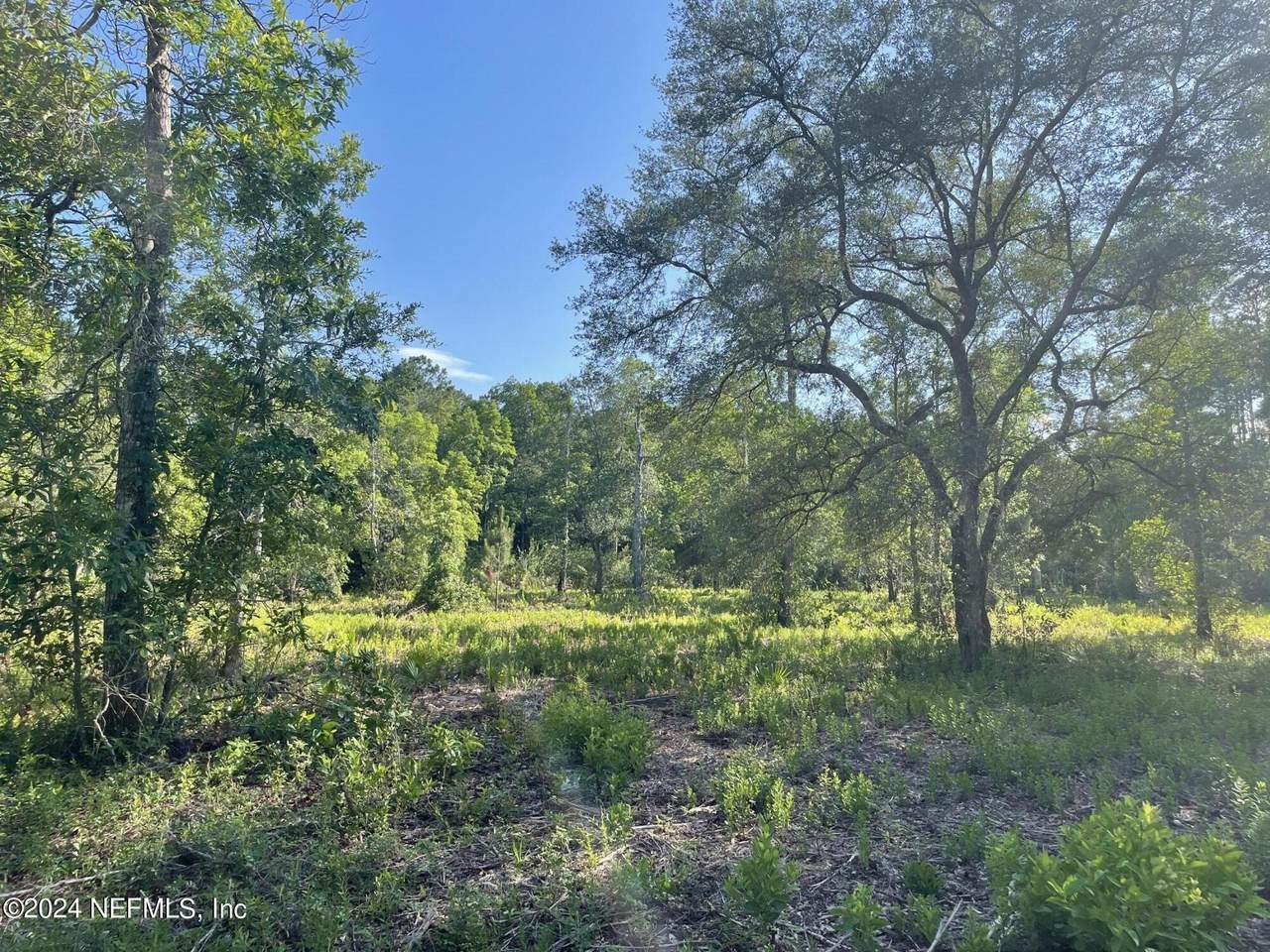 1962 Crestview Court - Photo 1