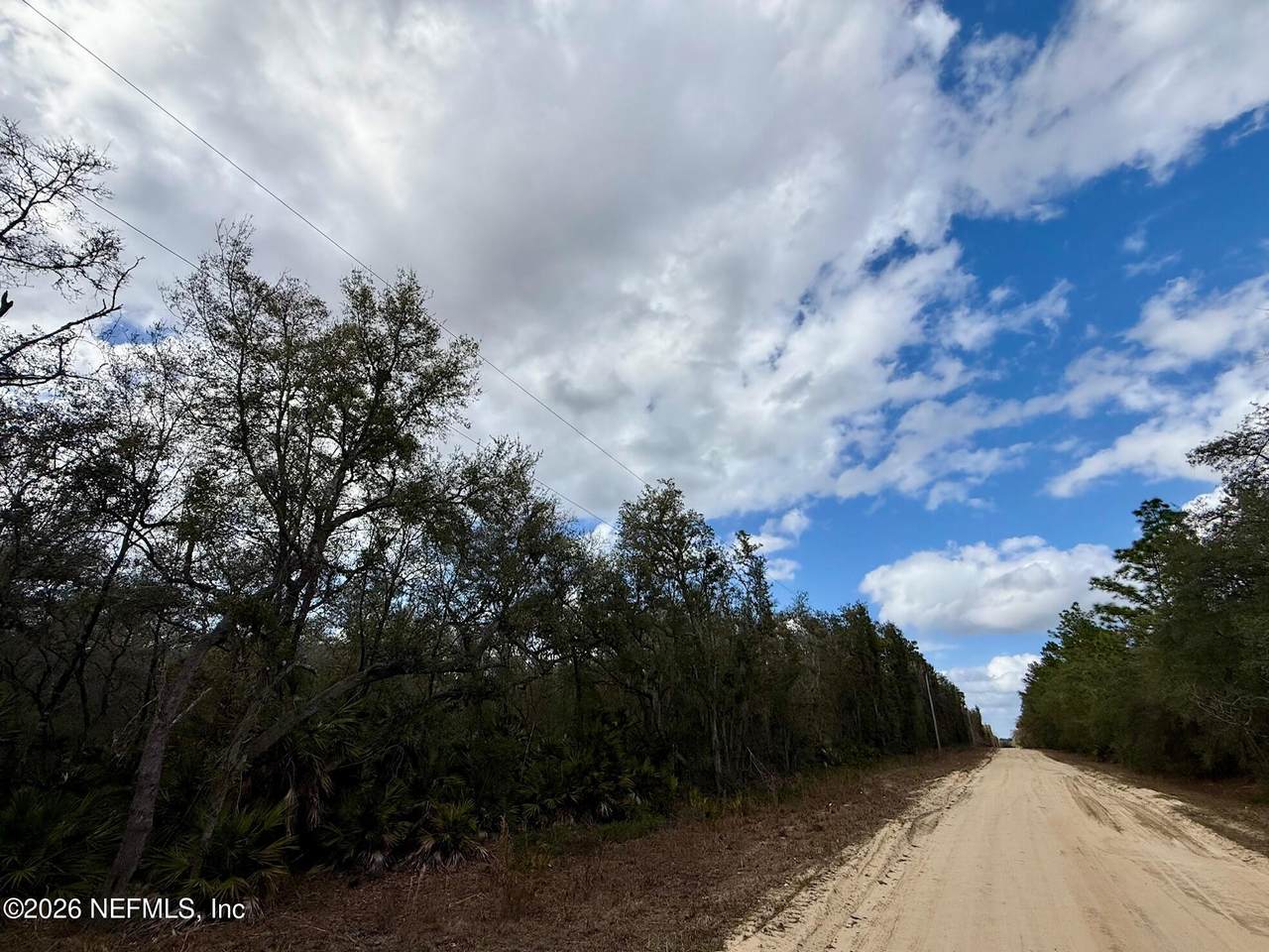 XXX Usina Avenue - Photo 1