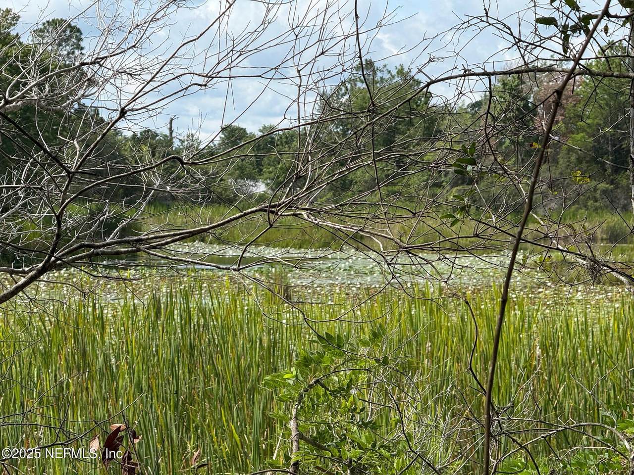 151 Long Branch Trail - Photo 1