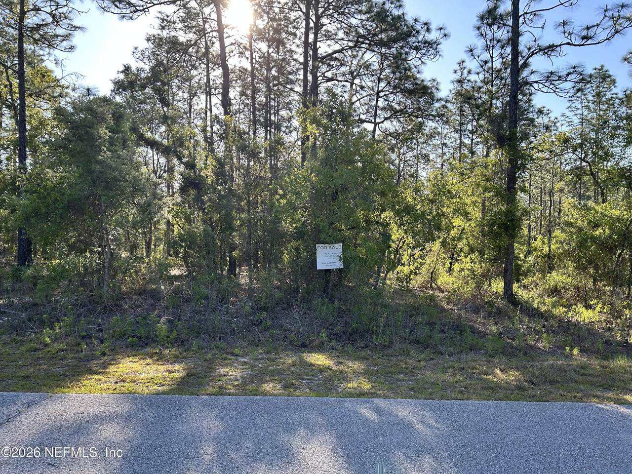 LOT 20 Buena Vista Road - Photo 1