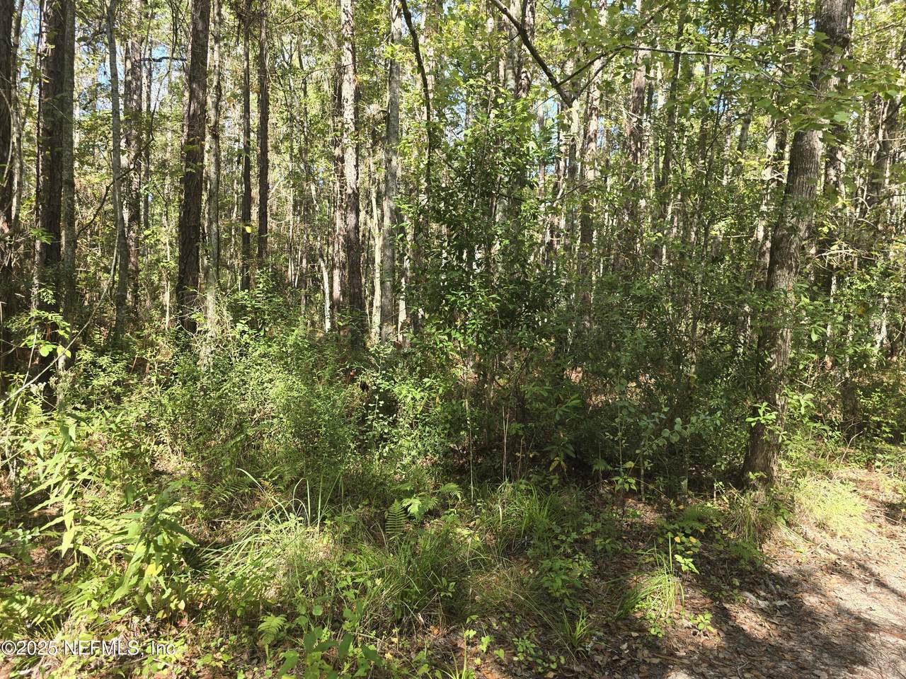 4122 Becky Street - Photo 1