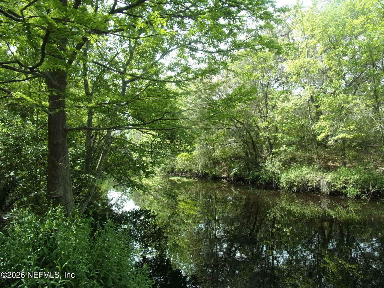 257 Tarpon Boulevard - Photo 1