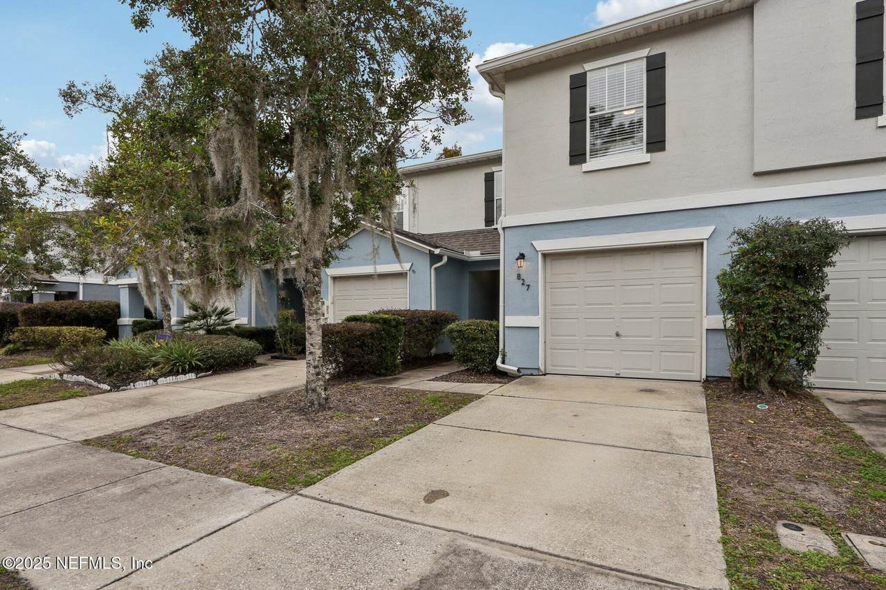 827 Black Cherry Drive - Photo 1