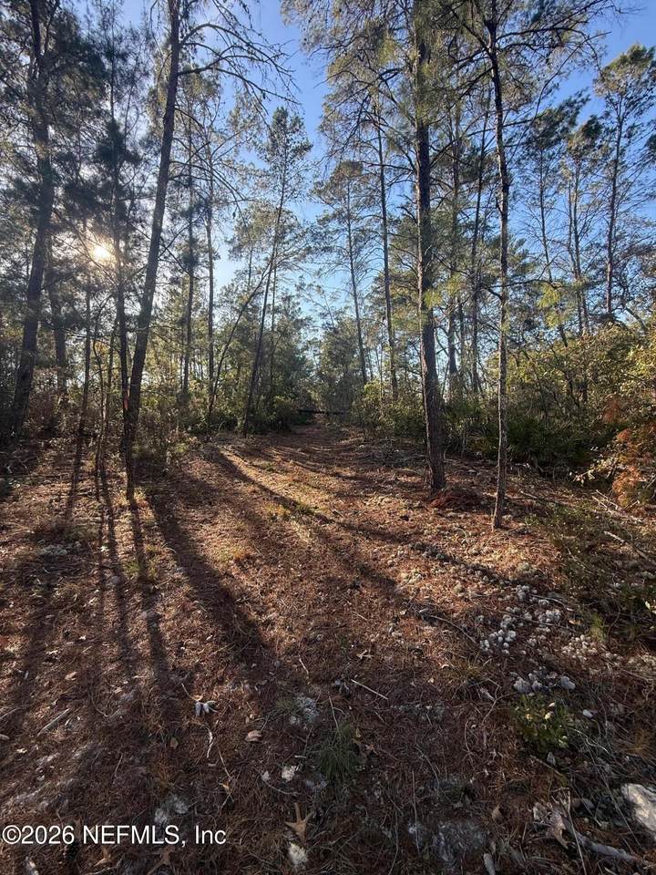 210 Morningside Drive - Photo 1