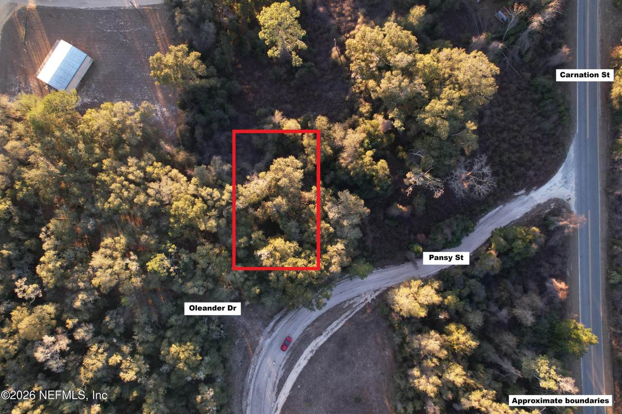 109 Oleander Drive - Photo 1