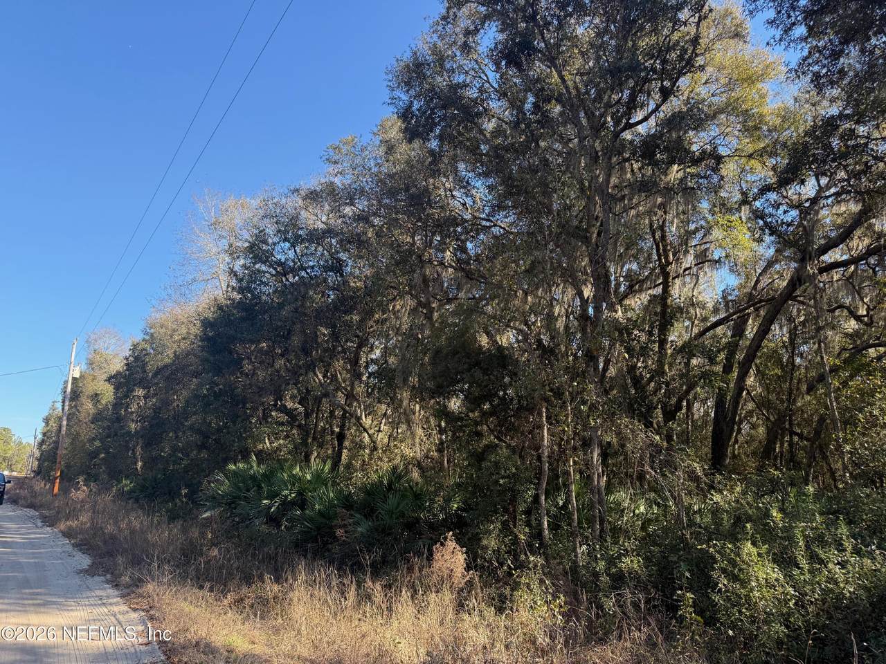 113 Doby Drive - Photo 1