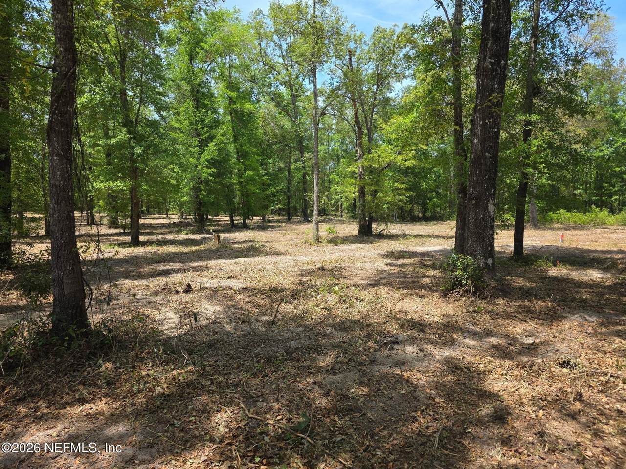 15433 Bullock Bluff Road - Photo 1