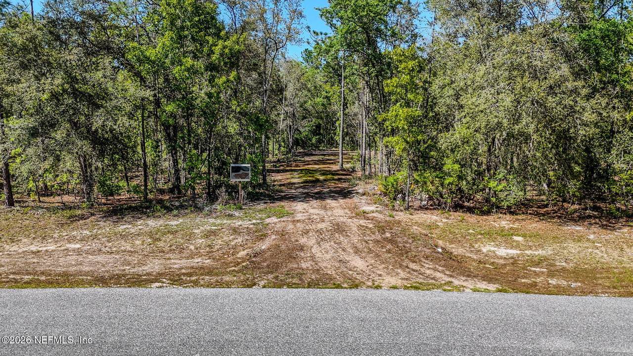 13541 Settindown Drive - Photo 1