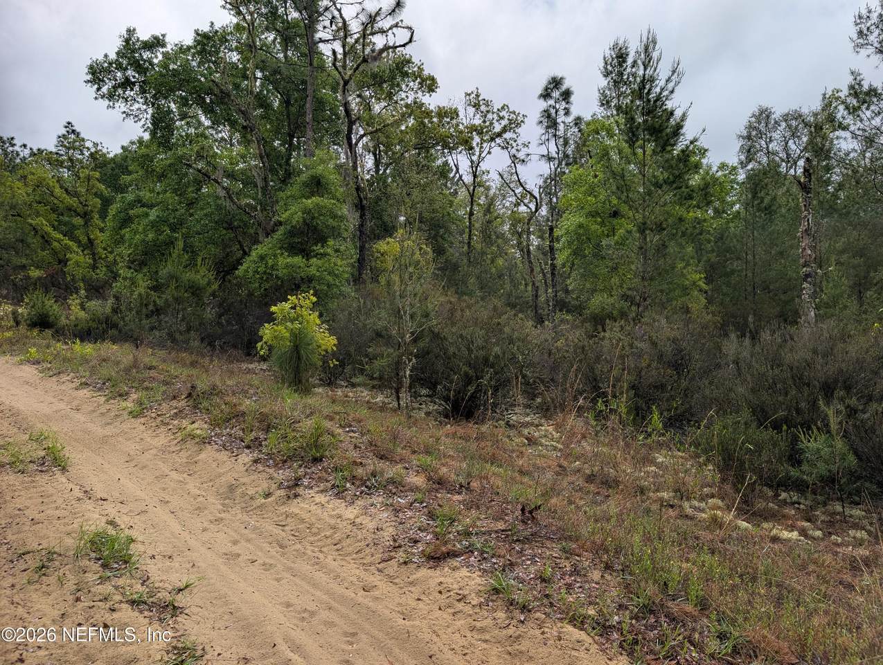 LOT 34- 35 Maltas Avenue - Photo 1