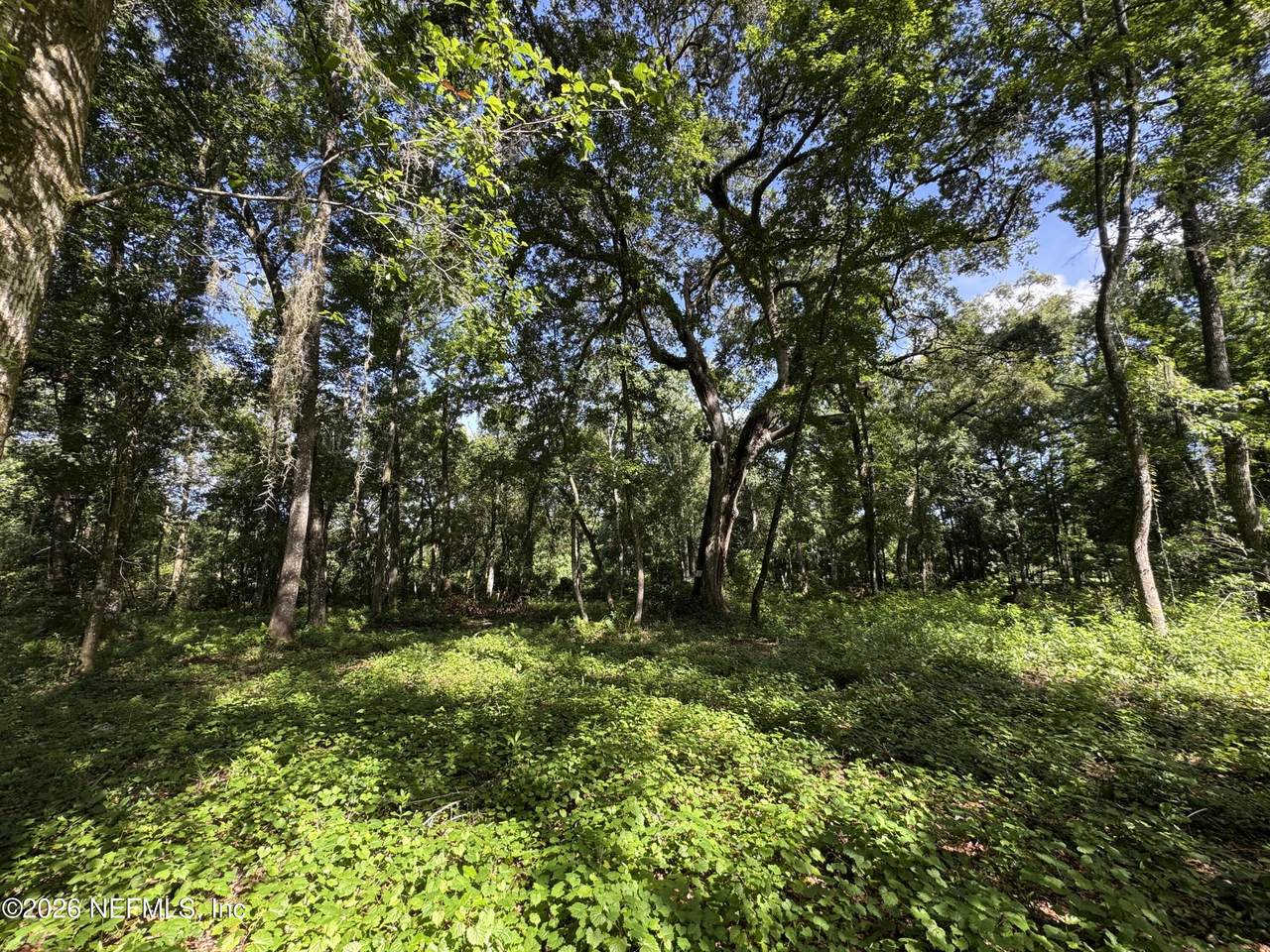 241 Indian Lakes Forest Road - Photo 1
