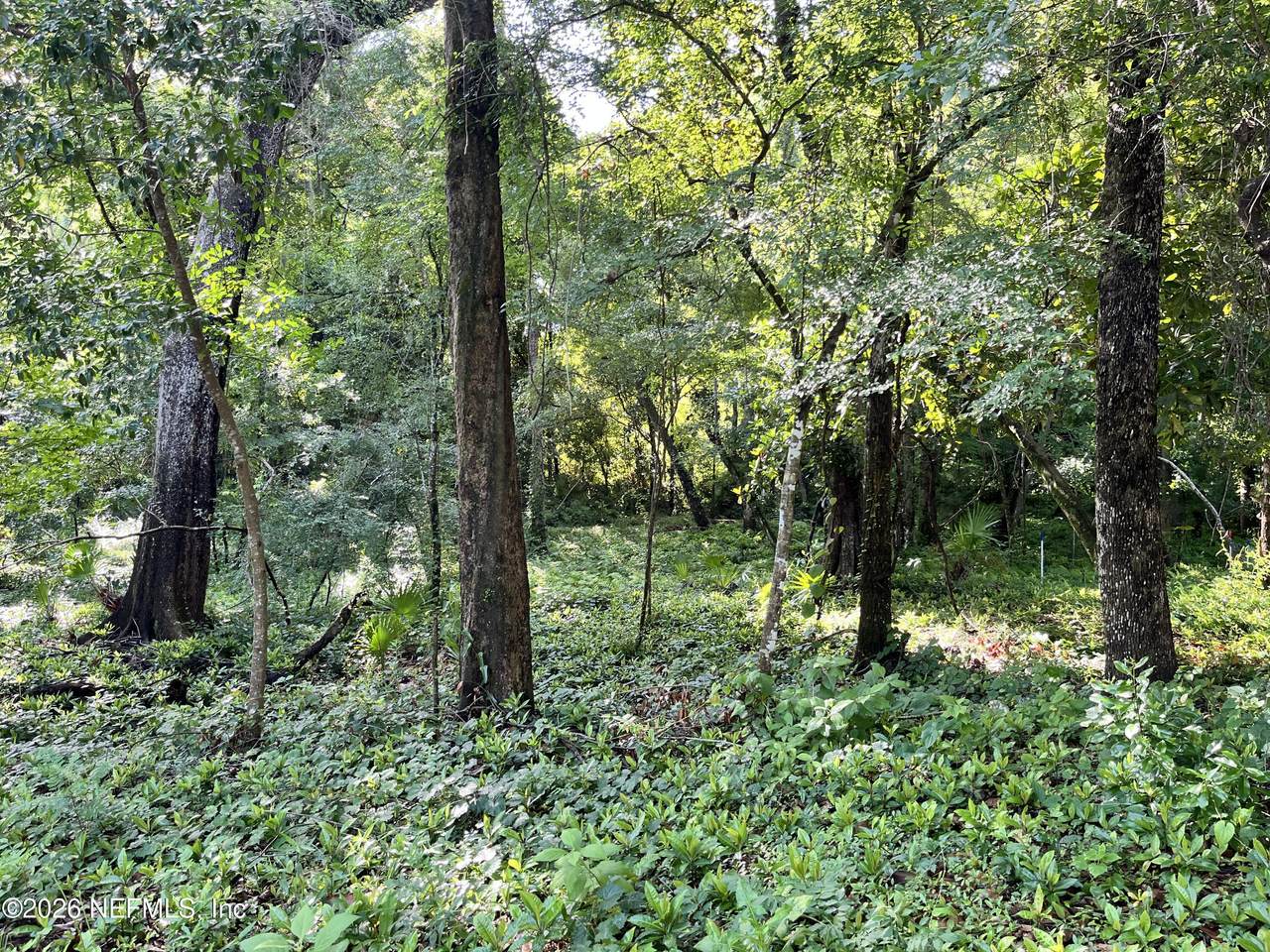 0 Myron Court - Photo 1