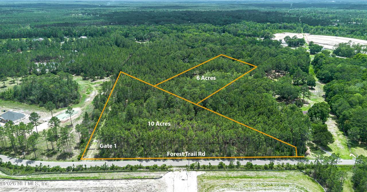 15450 Forest Trail Road - Photo 1