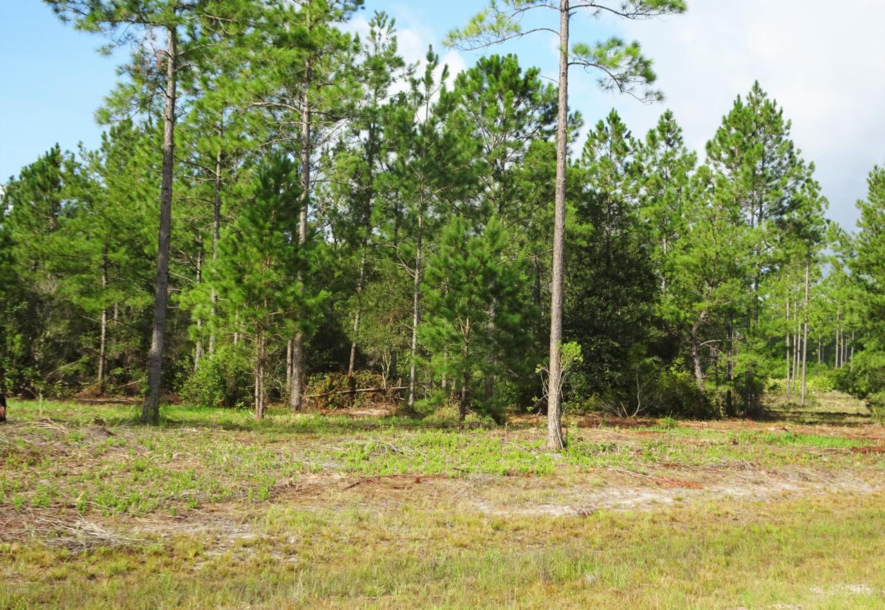 LOT 12A Brady Acres Trl - Photo 1